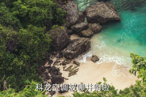 海信什么時候收購科龍，海信與科龍的關(guān)系是什么呀
