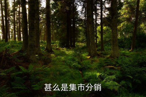 集采分銷是什么，什么是集中分銷