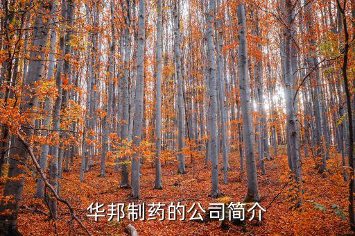華邦制藥有什么產(chǎn)品，華邦制藥的企業(yè)理念