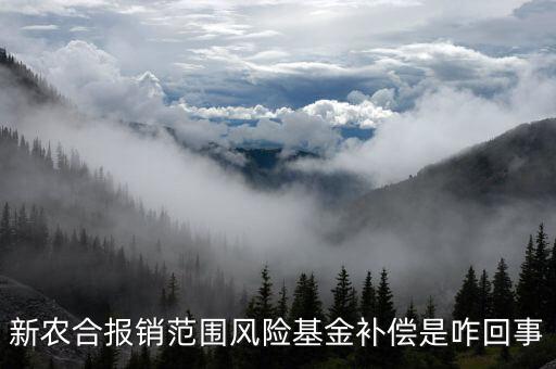 什么是政府風險補償基金，政府風險補償基金屬于哪個企業(yè)會計科目