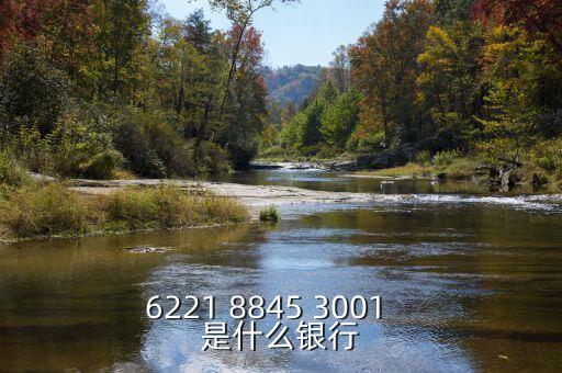 1807是什么銀行的，6217998700001600868是什么銀行的