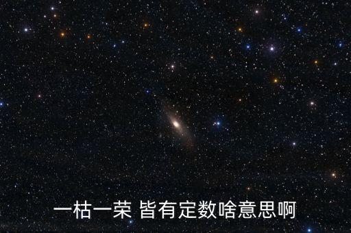 一枯一榮是什么意思，一枯一榮 皆有定數(shù)啥意思啊