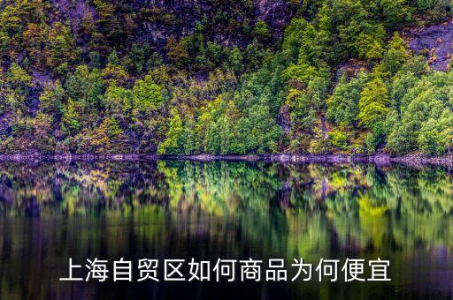 上海自貿(mào)區(qū)買(mǎi)什么便宜，上海購(gòu)物什么商品比較便宜