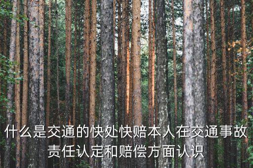 車險(xiǎn)快賠是什么，汽車快賠是什么意思