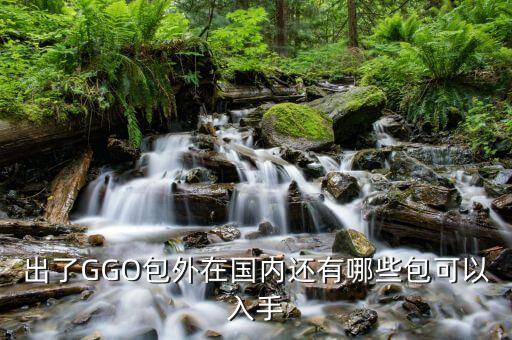 在中國還可以買什么，出了GGO包外在國內(nèi)還有哪些包可以入手