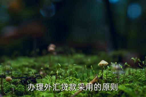貸款三查指什么，銀行貸款三查不嚴(yán)能使貸款合同無效嗎