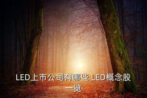 上市公司鴻什么視訊，視訊行業(yè)有哪些公司