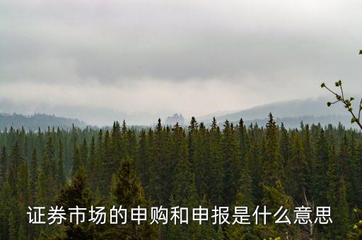 金融行業(yè)中的逐日申報是什么意思，外貿(mào)中到到銀行申報是什么意思申報什么呢哪位高人指點一下謝