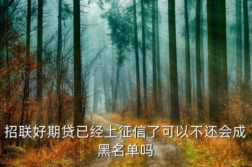 好期貸上征信怕什么，在招聯(lián)好期袋貸上面借錢都有按時歸還會上征信嗎會不會對以