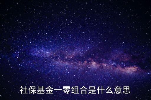 社?；鸶鞣N組合什么意思，什么是全國社保基金一零八組合