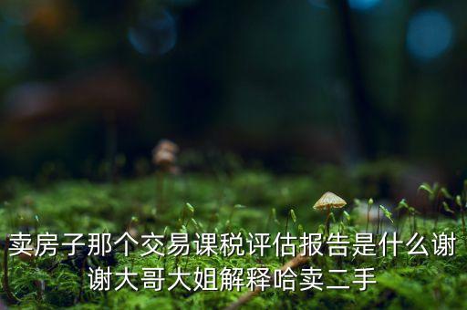 交易課稅是什么意思，名詞解釋證券交易稅