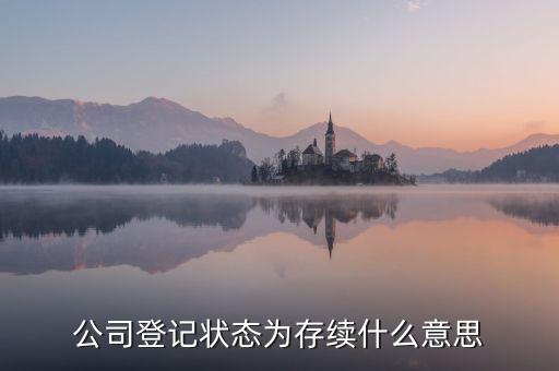 公司存續(xù)是什么意思，企業(yè)經(jīng)營狀態(tài) 存續(xù) 是什么意思