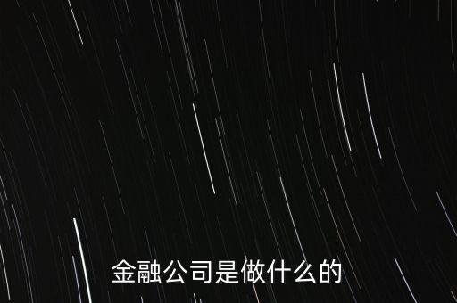 美國住宅金融公司是干什么的，房地美和房利美在美國算什么性質(zhì)的金融機構(gòu)