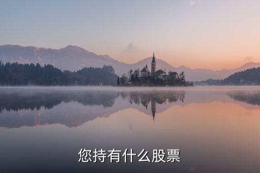 樊淑珍持有什么股，香港中央代理人持有哪些股票