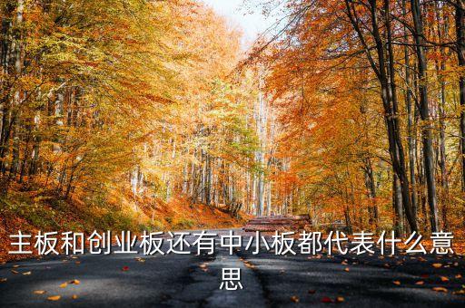 滬市主板是什么意思，什么是主板中小板和創(chuàng)業(yè)板它們都是干什么的請用白話簡短精