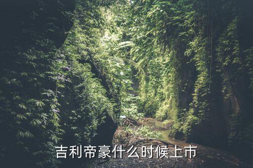 吉利股票什么時(shí)候上市，吉利汽車(chē)今年會(huì)上市A股嗎何時(shí)可以申購(gòu)