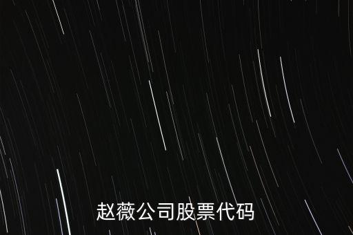 趙薇買的什么股票代碼，范冰冰 趙薇 股票5億買的什么股票
