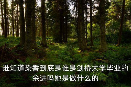 麥肯錫合伙人是什么，誰知道染香到底是誰是劍橋大學畢業(yè)的余進嗎她是做什么的