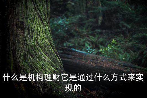 什么是機(jī)構(gòu)理財，什么是第三方的理財機(jī)構(gòu)