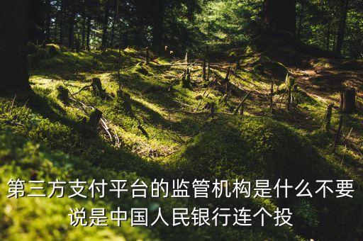 第三方支付平臺由什么機(jī)構(gòu)授權(quán)，第三方支付平臺的監(jiān)管機(jī)構(gòu)是什么不要說是中國人民銀行連個投