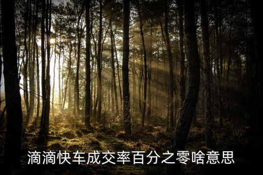 滴滴快車(chē)成交率百分之零啥意思