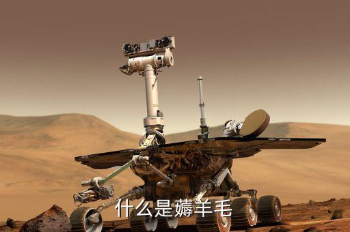 薅羊毛是什么意思，什么是 擼羊毛