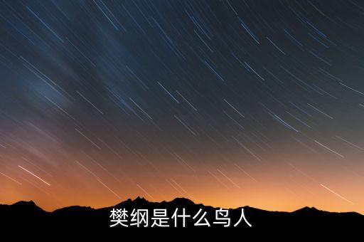 樊綱是什么鳥(niǎo)人，那些唱歌的明星是什么鳥(niǎo)人他門(mén)有什么用嗎
