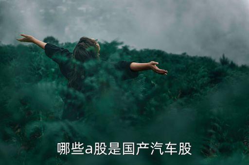 國(guó)什么汽車股票代碼是6多少，哪些a股是國(guó)產(chǎn)汽車股