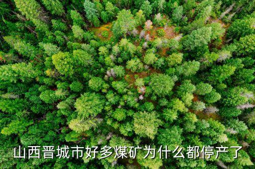 為什么礦山現(xiàn)在停產(chǎn)，為什么現(xiàn)在的礦業(yè)幾乎全部停產(chǎn)