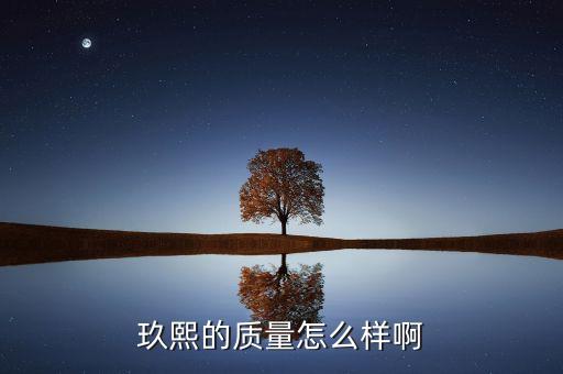玖熙鞋子屬于什么檔次，玖熙的鞋子怎么樣 NINE WEST