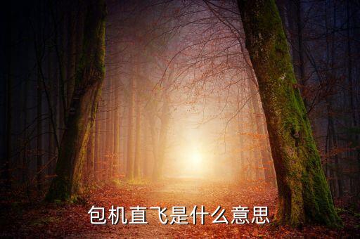 什么是包機(jī)航班，包機(jī)直飛是什么意思
