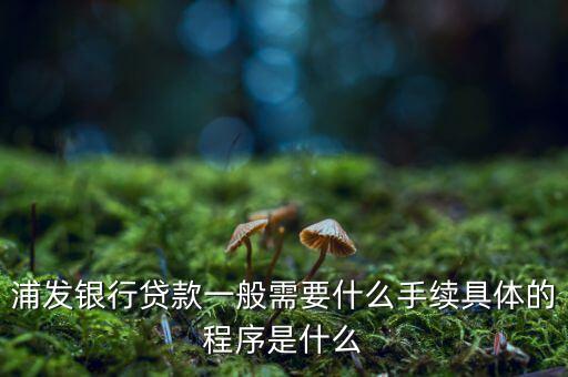 浦發(fā)銀行網(wǎng)貸通要什么條件，TB支持浦發(fā)  浦發(fā)開通網(wǎng)銀要什么條件比如要帶點(diǎn)什么的