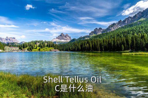 權益油是什么，Shell Tellus Oil C是什么油