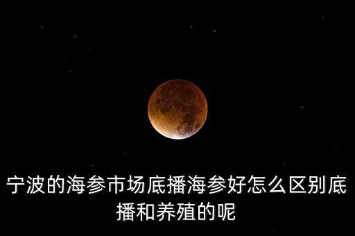 什么是底播海參，底播海參和非底播海參有什么區(qū)別