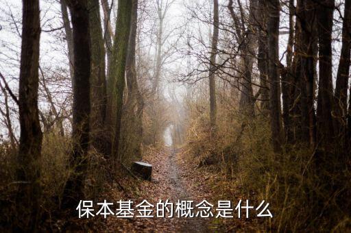什么是資金錯配，什么是資金合并