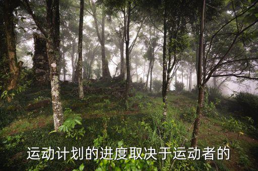 進度安排的靈活性是什么決定，運動計劃的進度取決于運動者的