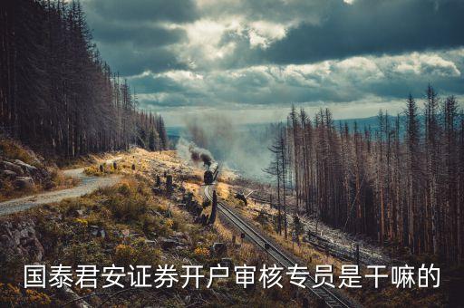 證券資料審核員干什么，審核員是做什么的怎么考考過了又怎么做是什么樣的一個過程呢