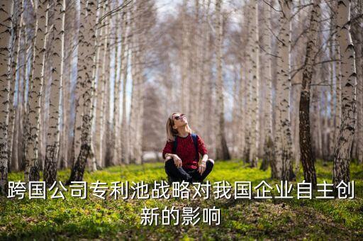 北京君正是什么公司，跨國(guó)公司專利池戰(zhàn)略對(duì)我國(guó)企業(yè)自主創(chuàng)新的影響
