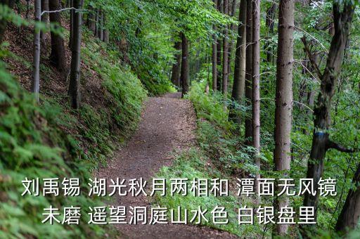 君山股份是做什么，劉禹錫 湖光秋月兩相和 潭面無風(fēng)鏡未磨 遙望洞庭山水色 白銀盤里