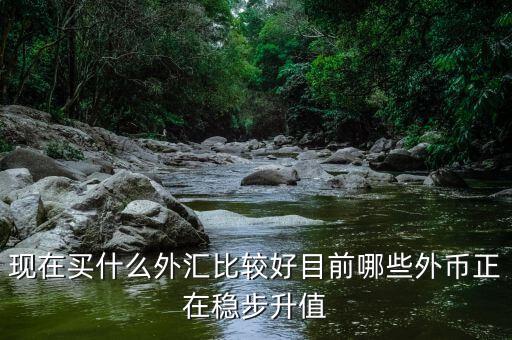 近期買什么外匯，預測人民幣匯率走勢是怎樣的 炒外匯現(xiàn)在買哪對外匯比較好