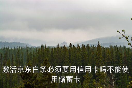 京東白條要什么銀行卡，京東打白條一定要信用卡嗎儲蓄卡不能用嗎