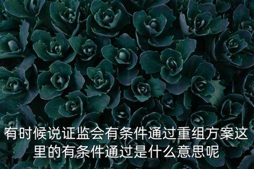 重組項(xiàng)目過會(huì)是什么意思，資產(chǎn)重組獲股東大會(huì)高票通過什么意思
