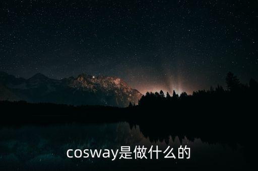 普路通是做什么的，cosway是做什么的