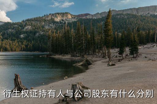 衍生權(quán)證是什么，衍生權(quán)證持有人與公司股東有什么分別