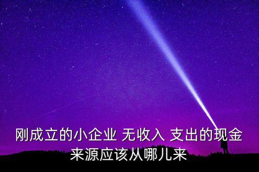 小企業(yè)主為什么沒現(xiàn)金，剛成立的小企業(yè) 無收入 支出的現(xiàn)金來源應(yīng)該從哪兒來