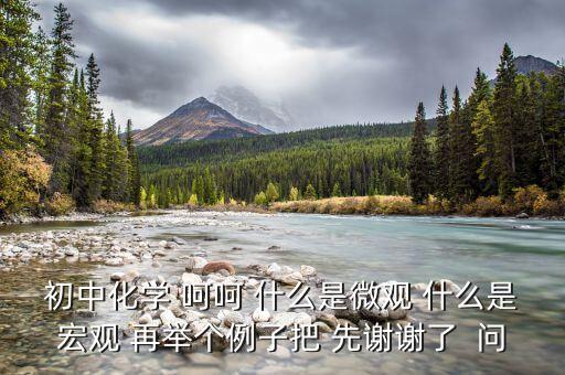 什么是宏觀事實(shí)，初中化學(xué) 呵呵 什么是微觀 什么是宏觀 再舉個(gè)例子把 先謝謝了  問