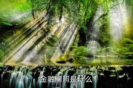 擔(dān)保公司的金融牌照是什么樣子的，金融牌照是什么