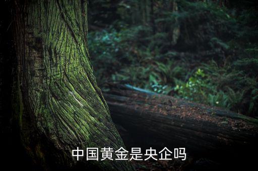 中國黃金為什么是央企品牌，中國黃金在各城市的店鋪是中國黃金直營的還是加盟的如果是直營