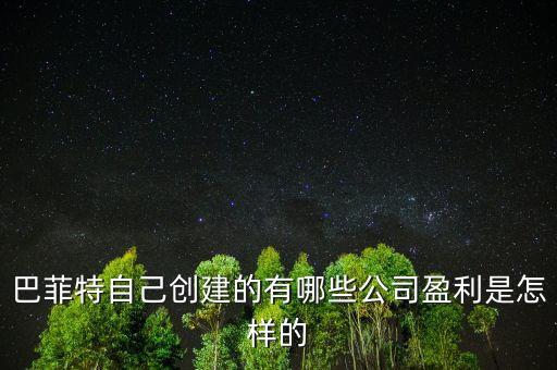 巴菲特是想收購中國的什么公司，巴菲特自己創(chuàng)建的有哪些公司盈利是怎樣的