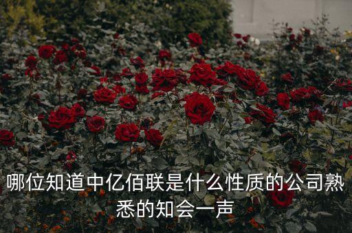 哪位知道中億佰聯是什么性質的公司熟悉的知會一聲